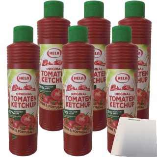 Hela Tomaten Ketchup fruchtig 6er Pack (6x800 ml Tube) + usy Block