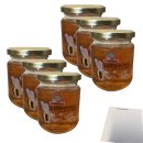 Ottifanten Blütenhonig 6er Pack (6x250g Glas) + usy...