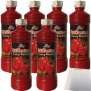 Ottifanten Curry-Ketchup 6er Pack (6x425ml Flasche) + usy Block