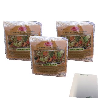 Monika Chinesische Nudeln Pancit Canton 3er Pack (3x227g Packung) + usy Block