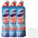 Domestos Kraft & Frische WC Gel Ocean Fresh 3er Pack (3x750ml Flasche) +usy Block