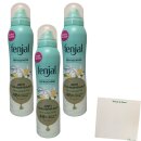 Fenjal Deo Spray Anti Transpirant 48h Schutz & Pflege...