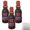 GoTan Sambal Badjak indonesische Zwiebel-Chili-Paste 3er Pack (3x225g Flasche) + usy Block