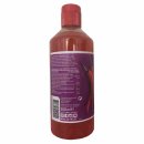 GoTan Sweet-Chlli Sauce The Original (500ml Flasche) + usy Block