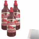 Lucullus Harissa Spicy Chili Sauce 3er Pack (3x500ml Flasche) + usy Block