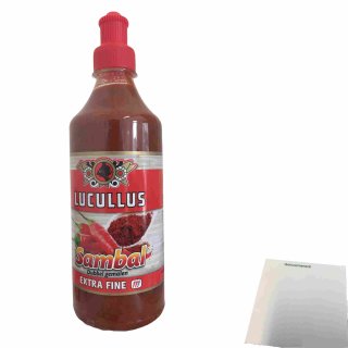 Lucullus Sambal Extra fine (500ml Flasche) + usy Block