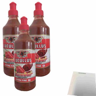 Lucullus Sambal Extra fine 3er Pack (3x500ml Flasche) + usy Block