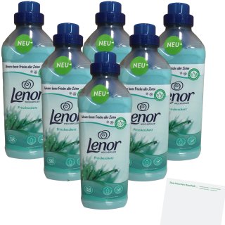 Lenor Weichspüler Frischeschutz 6er Pack (6x950ml Flasche) + Usy Block