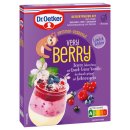 Dr. Oetker Sommer-Desserts very BERRY 6er Pack (6x78g Packung) + usy Block