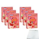 Dr. Oetker Sommer-Desserts Vanilla Strawberry KISS 6er Pack (6x70g Packung) + usy Block