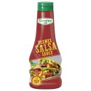 Develey Texmex Salsa Sauce 3er Pack (3x250ml Flasche) + usy Block