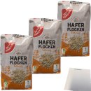 Gut & Günstig Haferflocken kernig 3er Pack (3x500g Packung) + usy Block