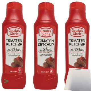 Goudas Glorie Tomaten Ketchup 3er Pack (3x850ml Flasche) + usy Block