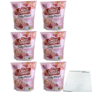 Nestlé Choco Crossies Crunchy Moments 6er Pack (6x140g Packung) + usy Block