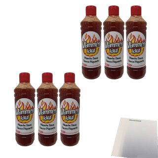 Vlammen Saus, Pikante Sauce 6er Pack (6x500ml Flasche) + usy Block