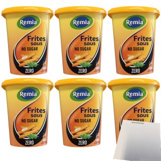 Remia Frites Saus no Sugar 6er Pack (6x500ml Packung) + usy Block