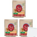 Purina One Dog Mini Active Huhn&Reis 3er Pack (3x800g...
