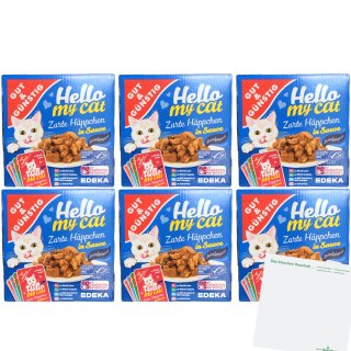 G&G Hello my cat Zarte Häppchen in Sauce 6er Pack (48x100g Packung) + usy Block