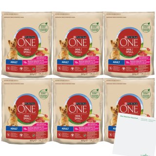 Purina One Dog Mini Adult Rind&Reis 6er Pack (6x800g Packung) + usy Block