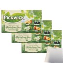 Pickwick Tea with Fruit Variation Box 3er Pack (Orange, Blackcurrant, Apple, Peach, 3x20x1,5g) + usy Block