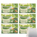 Pickwick Tea with Fruit Variation Box 6er Pack (Orange, Blackcurrant, Apple, Peach, 6x20x1,5g) + usy Block