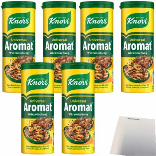 Knorr Aromat Würzstreuer (6x100g Packung) + usy Block