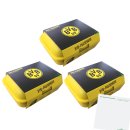BVB Pausenbox  3er Pack (3x275g Dose) + usy Block
