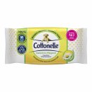 Cottonelle Feuchte Toilettentcher - Nachfller (42 er )