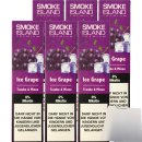 Smoke Island E-Shisha Ice Grape ohne Nikotin 6er Pack (6x600 Züge) + usy Block