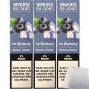 Smoke Island E-Shisha Ice Blueberry ohne Nikotin 3er Pack (3x600 Züge) + usy Block