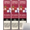 Smoke Island E-Shisha Ice Lychee ohne Nikotin 3er Pack (3x600 Züge) + usy Block