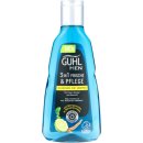 Guhl Men Shampoo 3in1 Frische & Pflege (1x250ml Flasche)