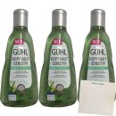 Guhl Shampoo Lindenblüten und Wasserminze 3er Pack (3x250ml Flasche) + usy Block
