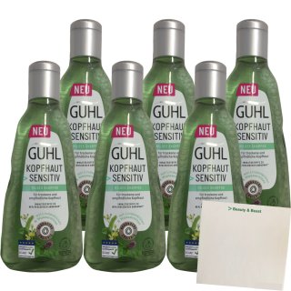 Guhl Shampoo Lindenblüten und Wasserminze 6er Pack (6x250ml Flasche) + usy Block