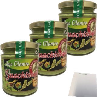Mojo Cilantro Guachinerfe Wort paste with coriander 8437010931208