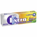 Wrigleys Extra Professional Single 10er.Pg.White Melon Mint
