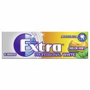 Wrigleys Extra Professional Single 10er.Pg.White Melon Mint