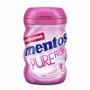 mentos Gum DS Pure Fresh (70g Packung)