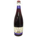 Rotkäppchen Fruchtsecco Blaubeere fruchtig-herb 8% vol. 1er Pack (1x0,75 Liter)
