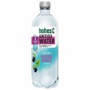 Hohes C Functional Water Antiox (0,75l Flasche) DPG