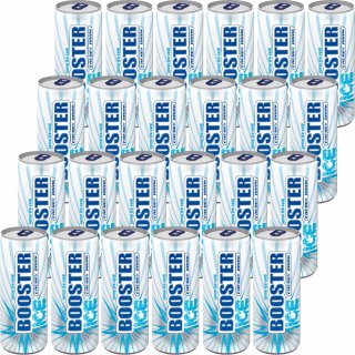 Booster Energy Ice DPG (24x0,33ml Dose)
