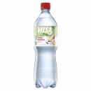Bio Vilsa Plus Apfel Ingwer 1l DPG