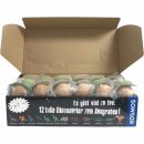 Kosmos Dino-Eier Karton (24 Dinosaurier Eier zum ausgraben) + usy Block