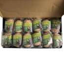 Kosmos Dino-Eier Karton (24 Dinosaurier Eier zum ausgraben) + usy Block