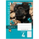 Stylex Schulheft Liniert 4 A5 16 Blatt (1Stk)