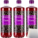 Vruchtensiroop Cassis 750ml bottle 8710401718399