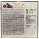Guylian original belgische Meeresfrüchte Pralinen 2er Pack (2x250g Packung) + usy Block
