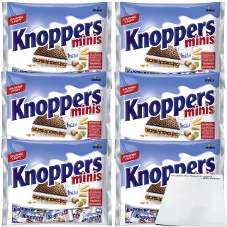 Storck Knoppers Minis das Frühstückchen und alles ist drin 6er Pack (6x200g Beutel) + usy Block
