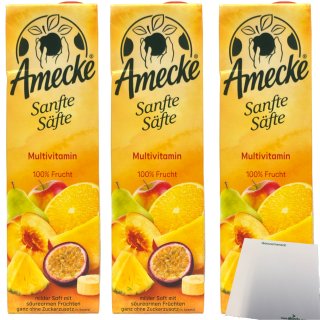 Amecke Sanfte Säfte Multivitamin 100% Frucht 3er Pack (3x1 Liter) + usy Block