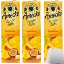 Amecke Sanfte Säfte Multivitamin 100% Frucht 3er Pack (3x1 Liter) + usy Block